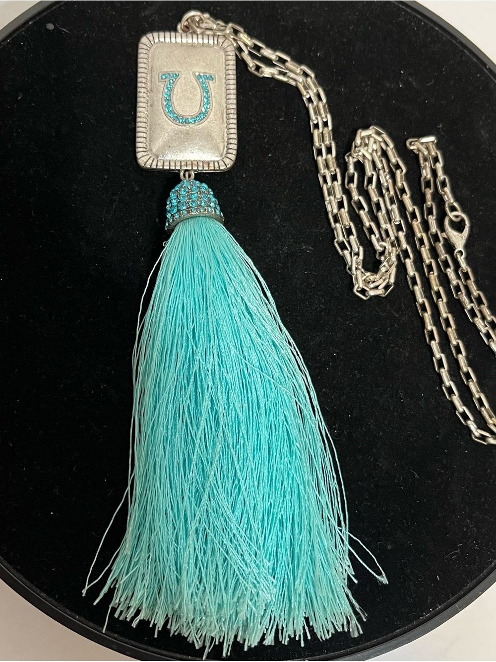 Turquoise Horseshoe Tassel Pendant Necklace with Silver Chain